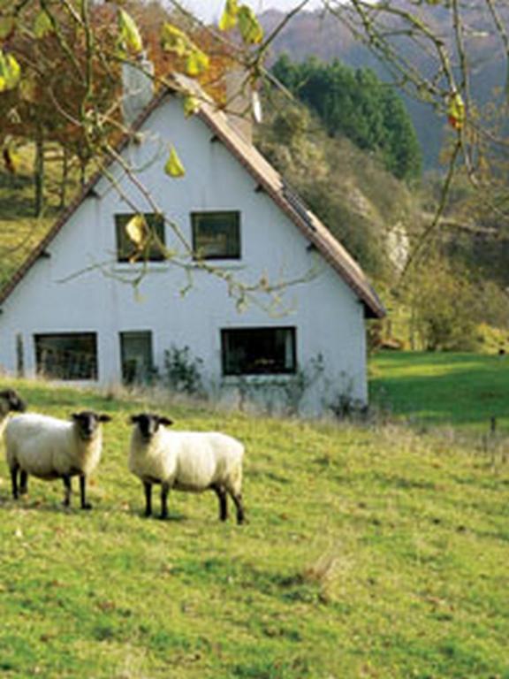 Chambre D'Hotes Les Champarts Tourville-la-Chapelle Экстерьер фото